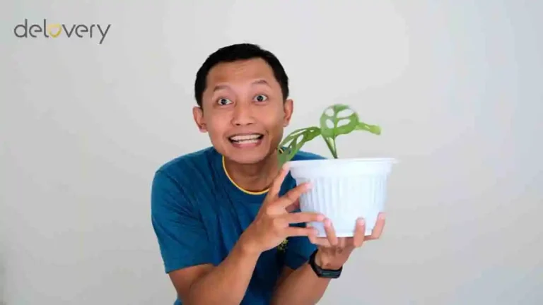 merawat vas bunga