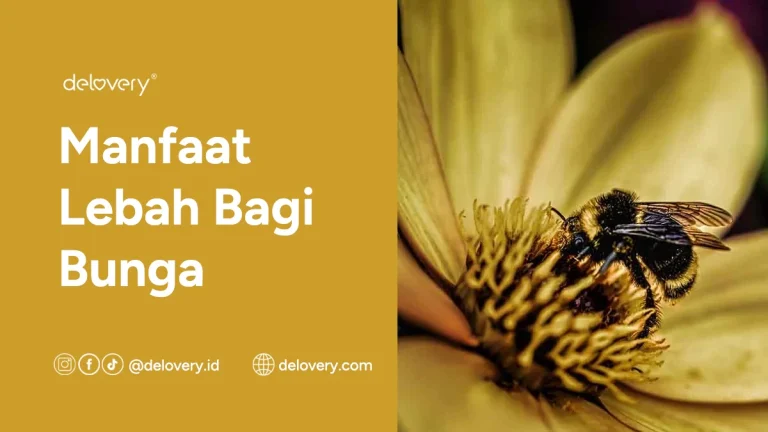 Manfaat Lebah Untuk Bunga