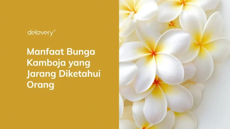 Manfaat Bunga Kamboja