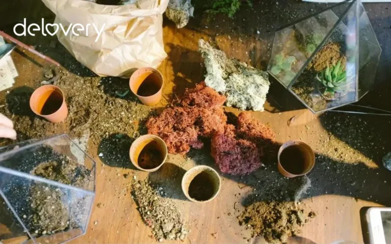 5 Tips Merawat Tanaman Bunga Mawar di Dalam Pot