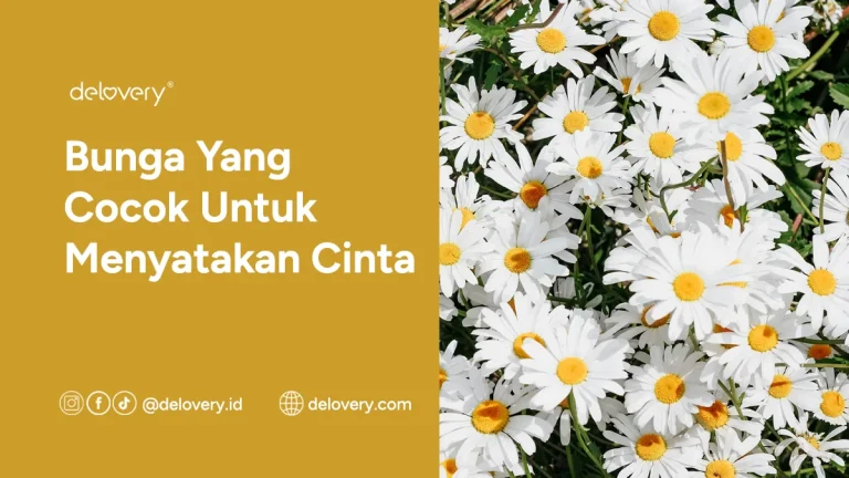 Bunga Yang Cocok Untuk Menyatakan Cinta