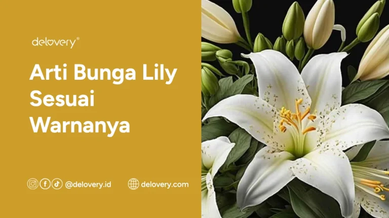 Arti Bunga Lily Sesuai Warnanya