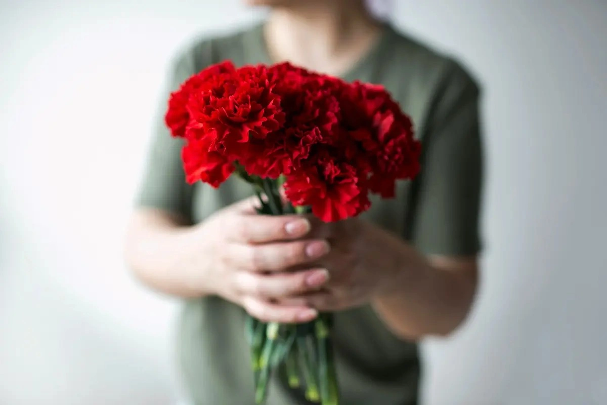 Makna Bunga Carnation Merah