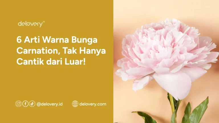6 Arti Warna Bunga Carnation, Tak Hanya Cantik dari Luar!