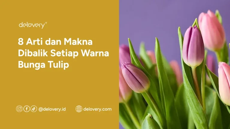 8 Arti dan Makna Dibalik Setiap Warna Bunga Tulip