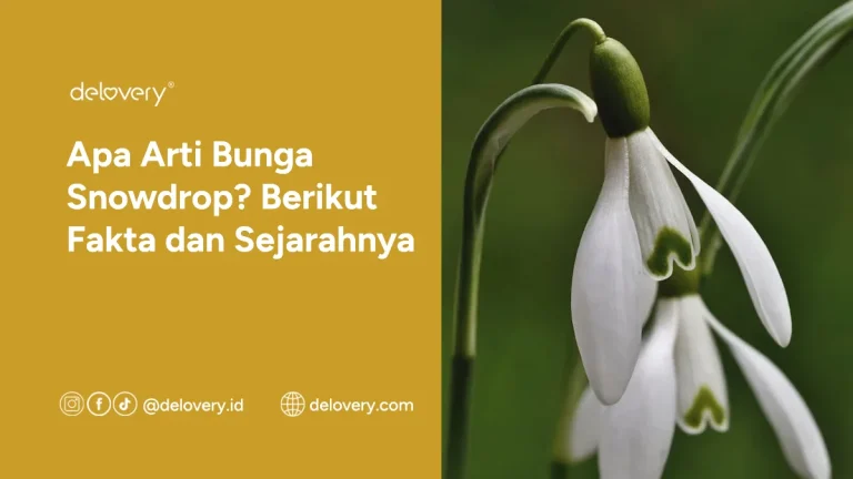 Apa Arti Bunga Snowdrop? Berikut Fakta dan Sejarahnya