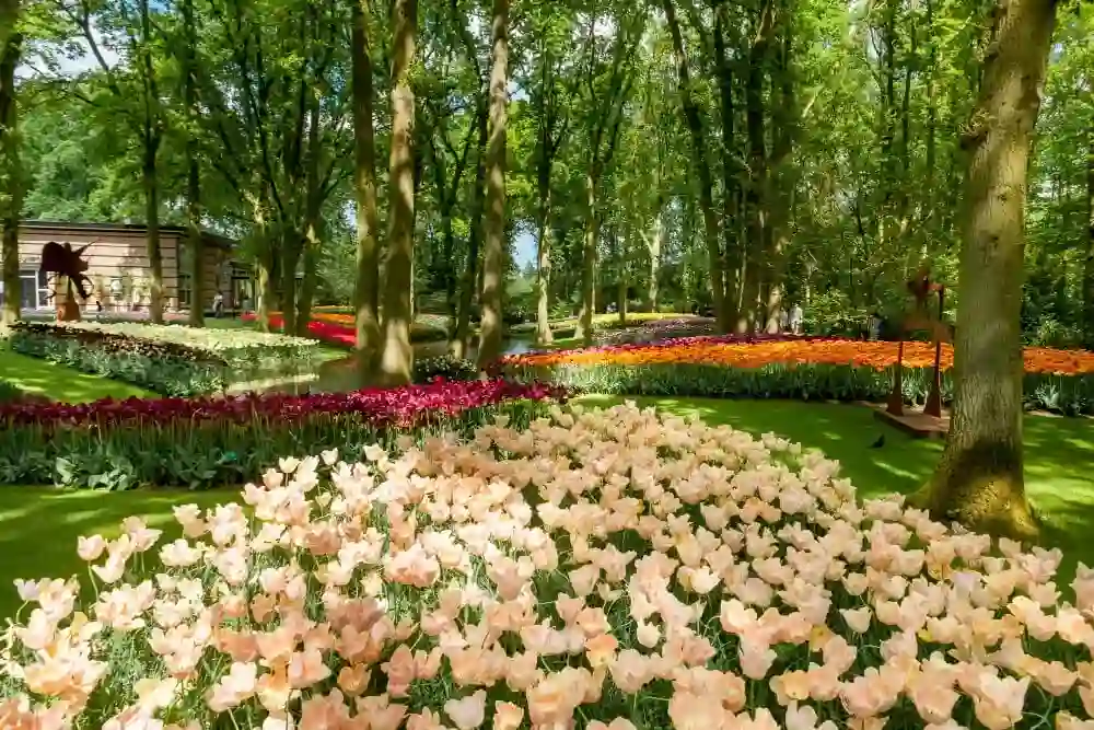 taman bunga belanda