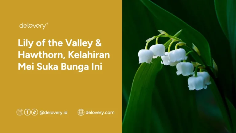 bunga kelahiran mei lily of the valley dan hawthorn