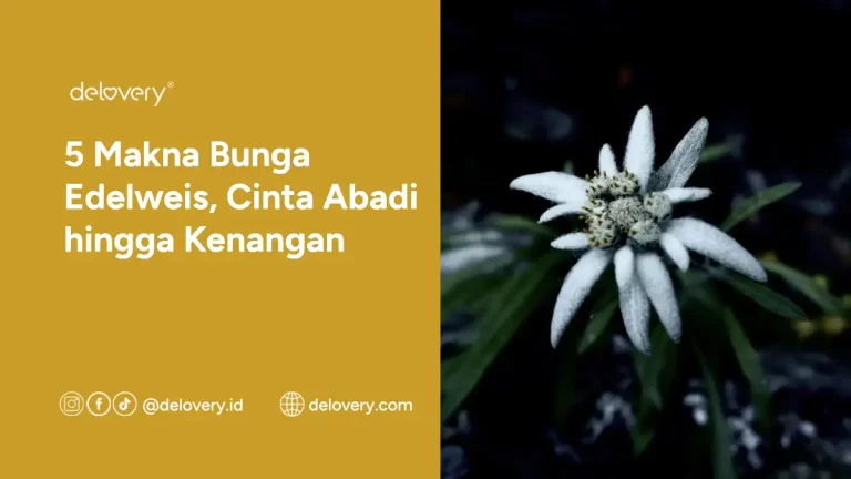 5 Makna Bunga Edelweis, Cinta Abadi hingga Kenangan