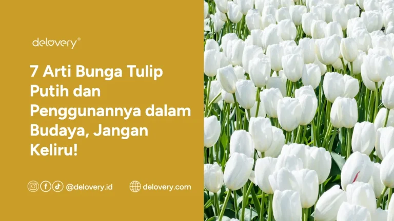 7 Arti Bunga Tulip Putih dan Penggunannya dalam Budaya, Jangan Keliru!