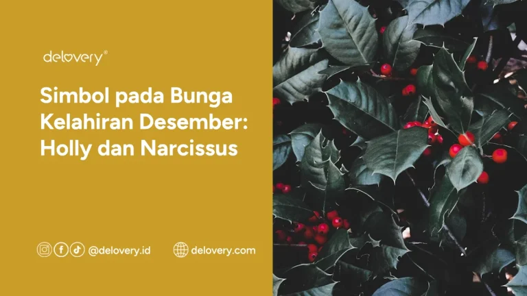 Simbol pada Bunga Kelahiran Desember: Holly dan Narcissus