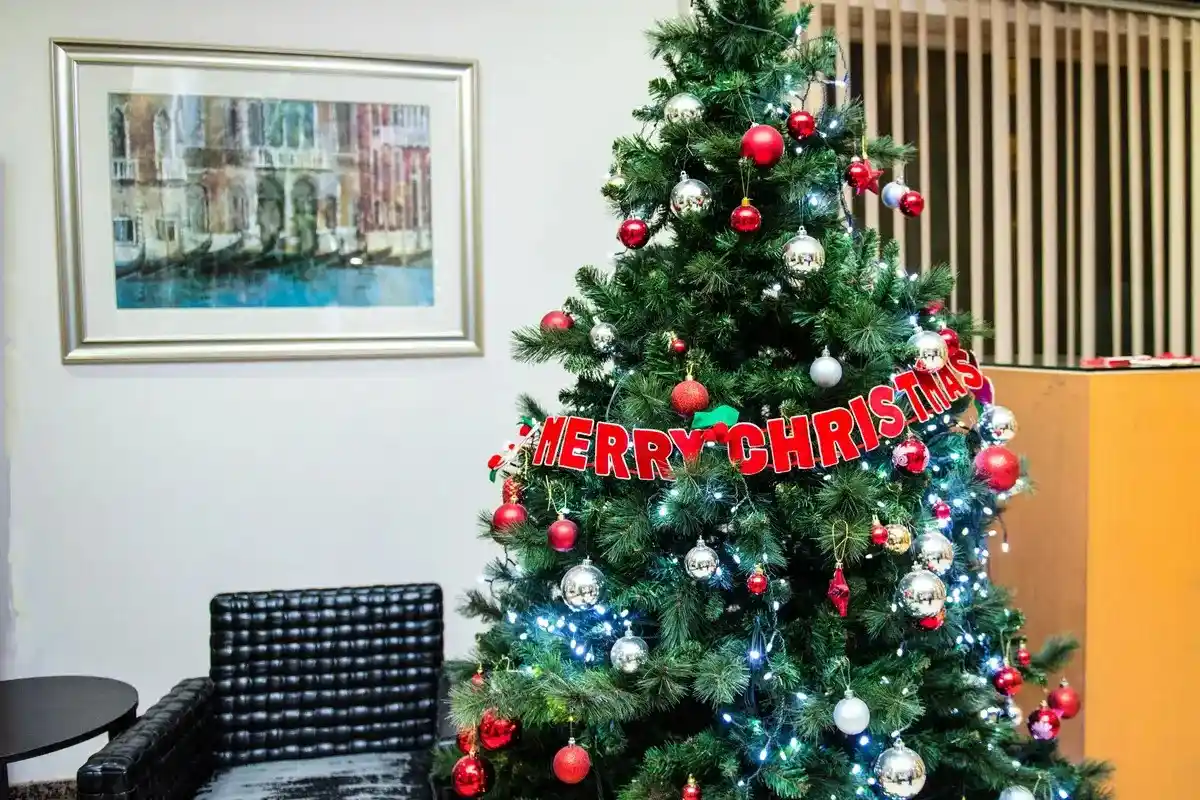Hubungan Bunga Holly dengan Perayaan Natal