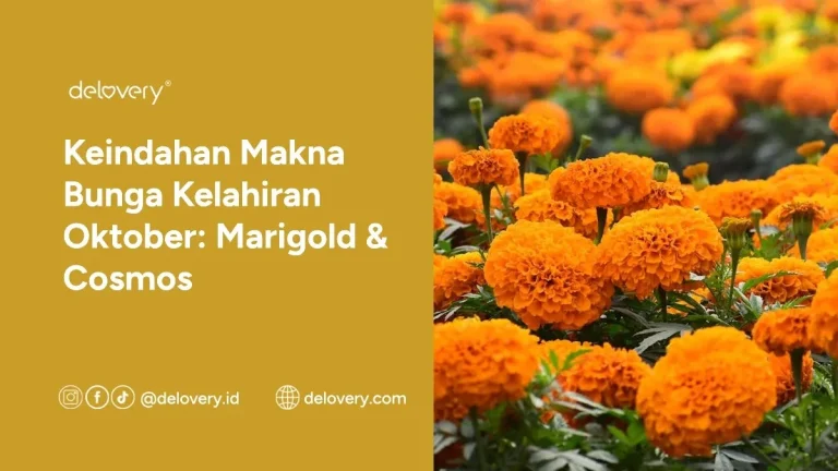 Keindahan Makna Bunga Kelahiran Oktober: Marigold & Cosmos