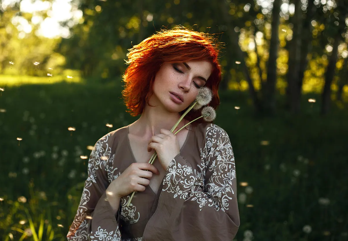 Dandelion