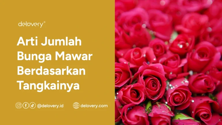 Arti Jumlah Bunga Mawar Berdasarkan Tangkainya