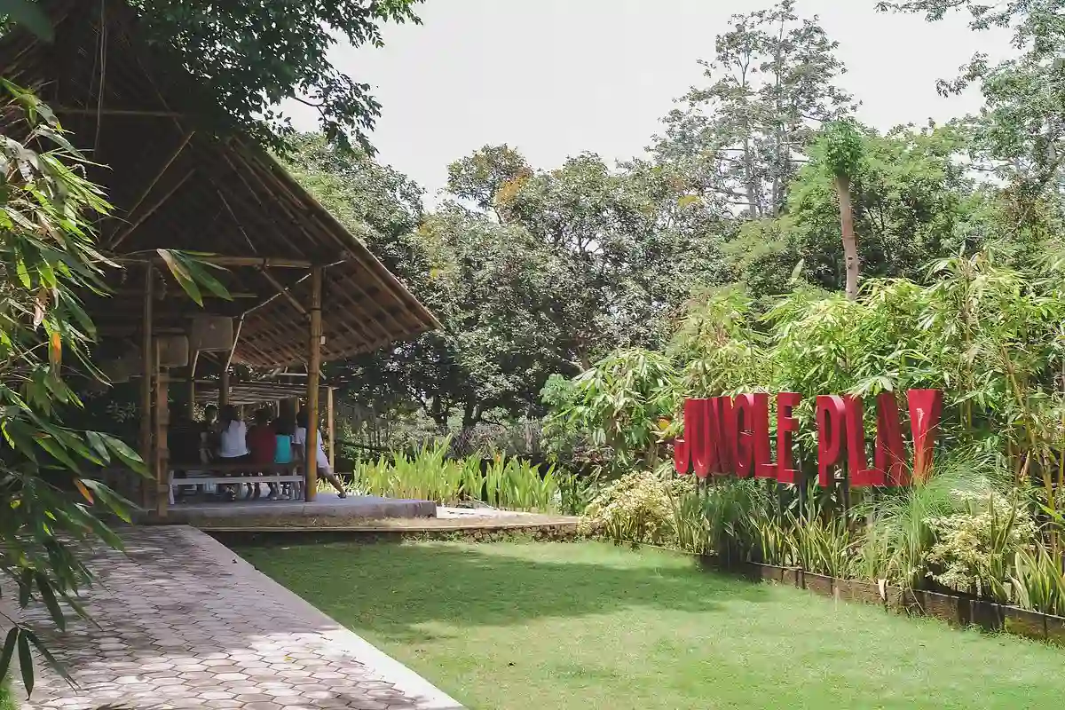 Jungle Play