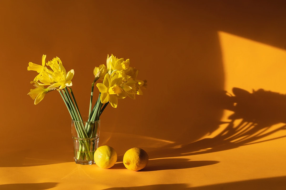 Ilustrasi Bunga dan Lemon