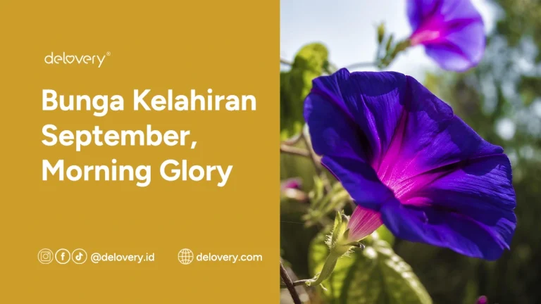 Bunga Kelahiran September