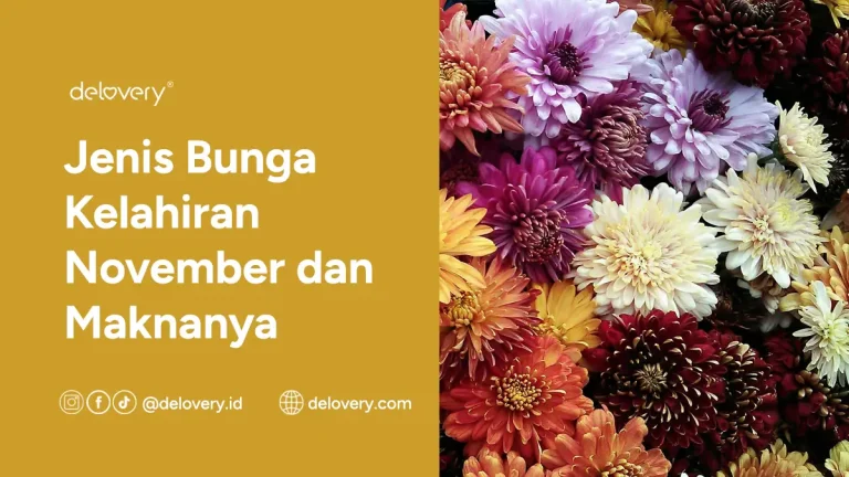 Jenis Bunga Kelahiran November dan Maknanya