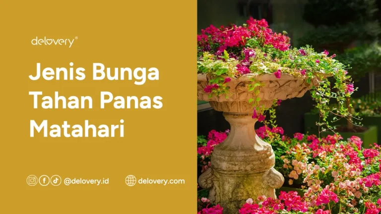 Jenis Bunga Tahan Panas Matahari