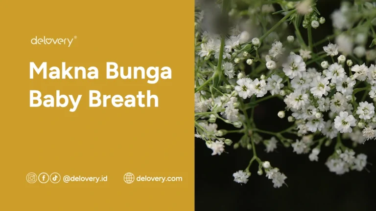Makna Bunga Baby Breath