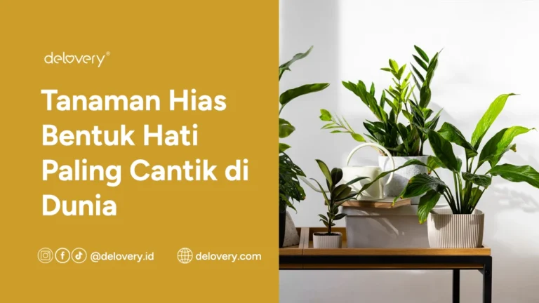 Tanaman Hias Bentuk Hati Paling Cantik di Dunia