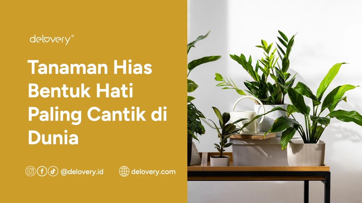 Tanaman Hias Bentuk Hati Paling Cantik di Dunia