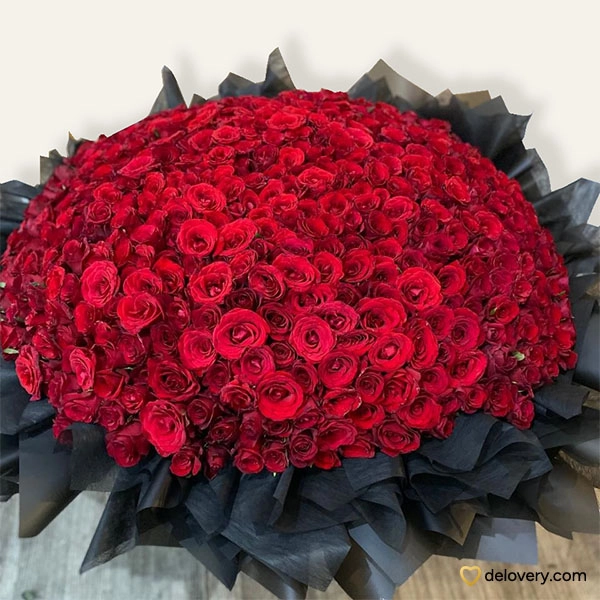 Buket Bunga Five Hundred Roses