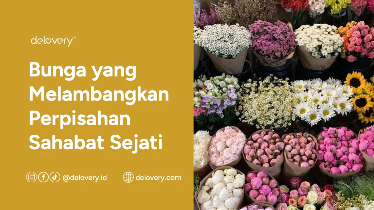 Bunga yang Melambangkan Perpisahan Sahabat