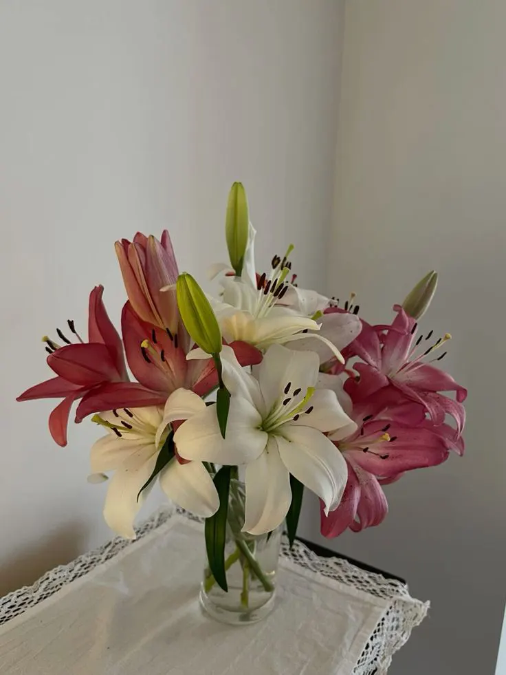 Lily
