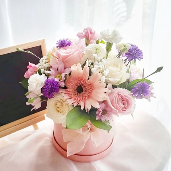 Jual Happiness Verlin Delovery