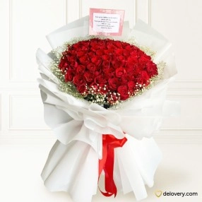 100 Scarlet Splendor