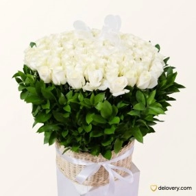 101 Pure Ivory Splendor