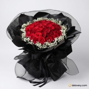 50 Midnight Rose Majesty