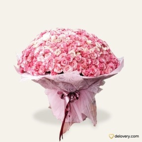 A Thousand Blushing Roses