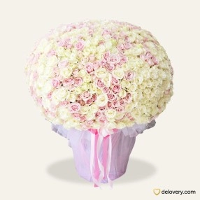 A Thousand Roses - Solo