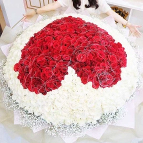 A Thousands of Roses (1000 Stems)
