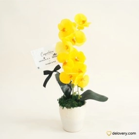 Amber Sunburst Orchid (Artificial)