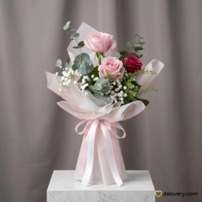Arsa Pinkish Charm