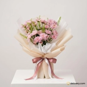 Aster Pink Serenity
