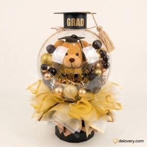 Aurelia Teddy Graduation Ball
