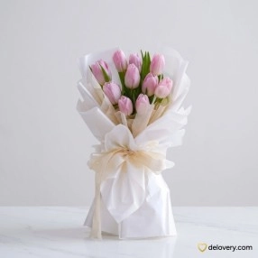 Beautiful Tulip and You