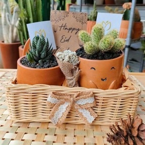 Cute Cactus