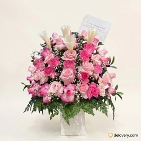 Blossom Calla Elegance