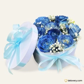 Blue Sky Box