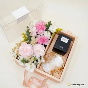 Blush Bloom & Serenade
