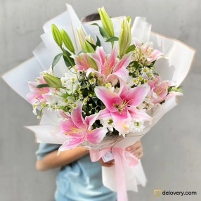 Blush Casablanca