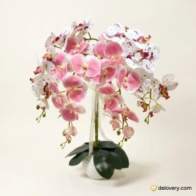 Blush Cascade Silk Orchid (Artificial)