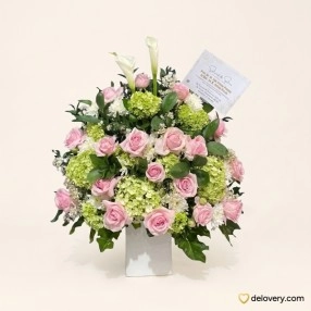 Blush Hydrangea Bloom