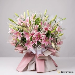 Blush Lily Grandeur